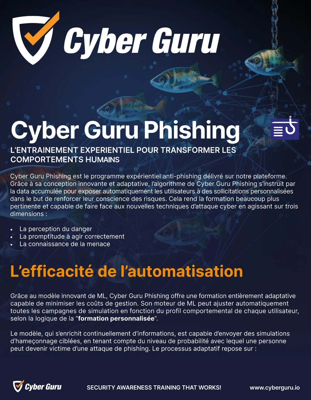 DS-FR-Phishing