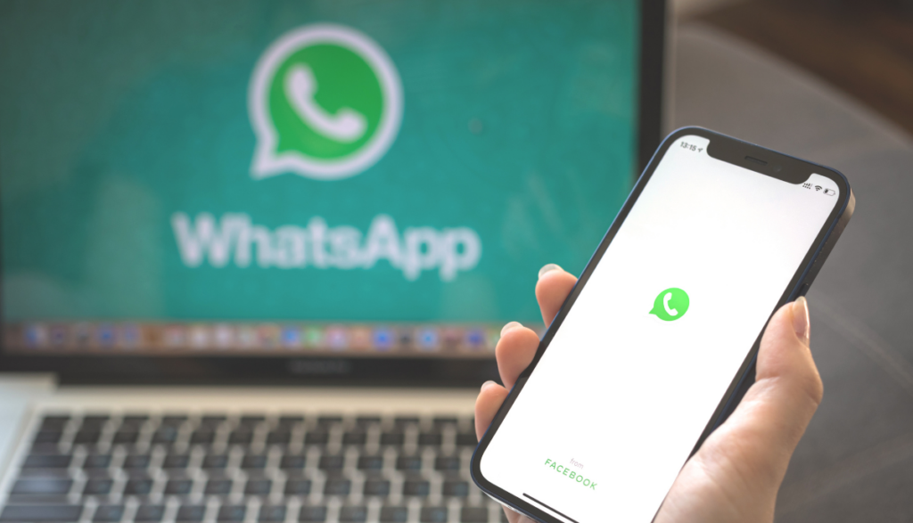 whatsapp-truffa-curriculum